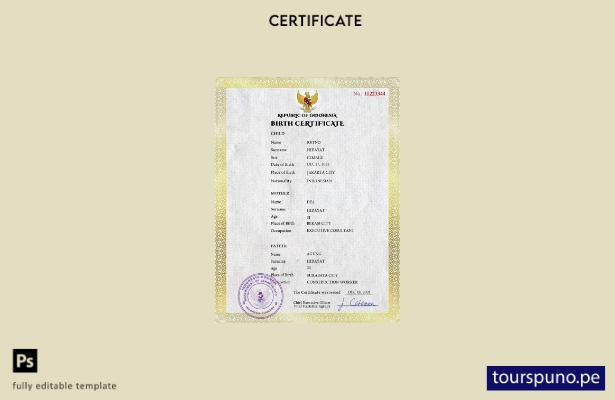 listo para imprimir plantilla PSD de certificado de nacimiento de registro vi 17